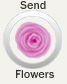 Send Flowers