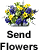 Send Flowers