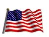 This image has an empty alt attribute; its file name is us_flag2.gif
